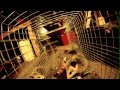 Trapping Opossums - Action Camera