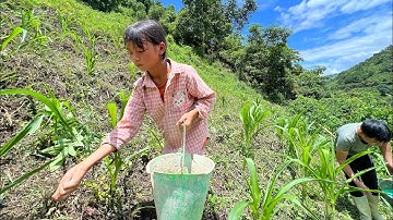 Hai Bố Con Anh Tả Đầu Đội Trời Chân Đạp Đất Đi Làm Nương |Cói Lalin