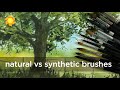 Getting Started: Watercolor Brushes Part II Synthetic vs Natural brushes