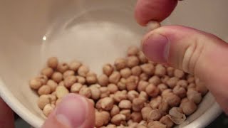 How to Cook Dried Garbanzo Beans (Chick Peas)