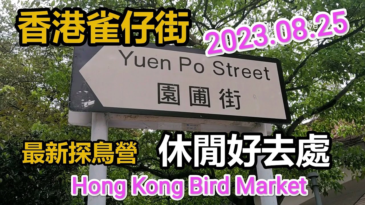 香港旺角花園街園圃街【2023年8月雀仔街最新探營】雀仔街係休閒好去處 Hong Kong Bird Market - YouTube