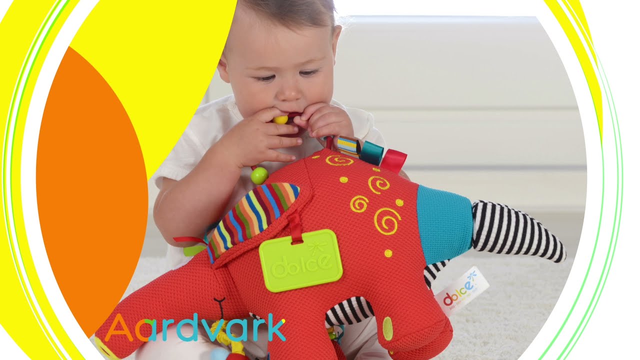 dolce aardvark