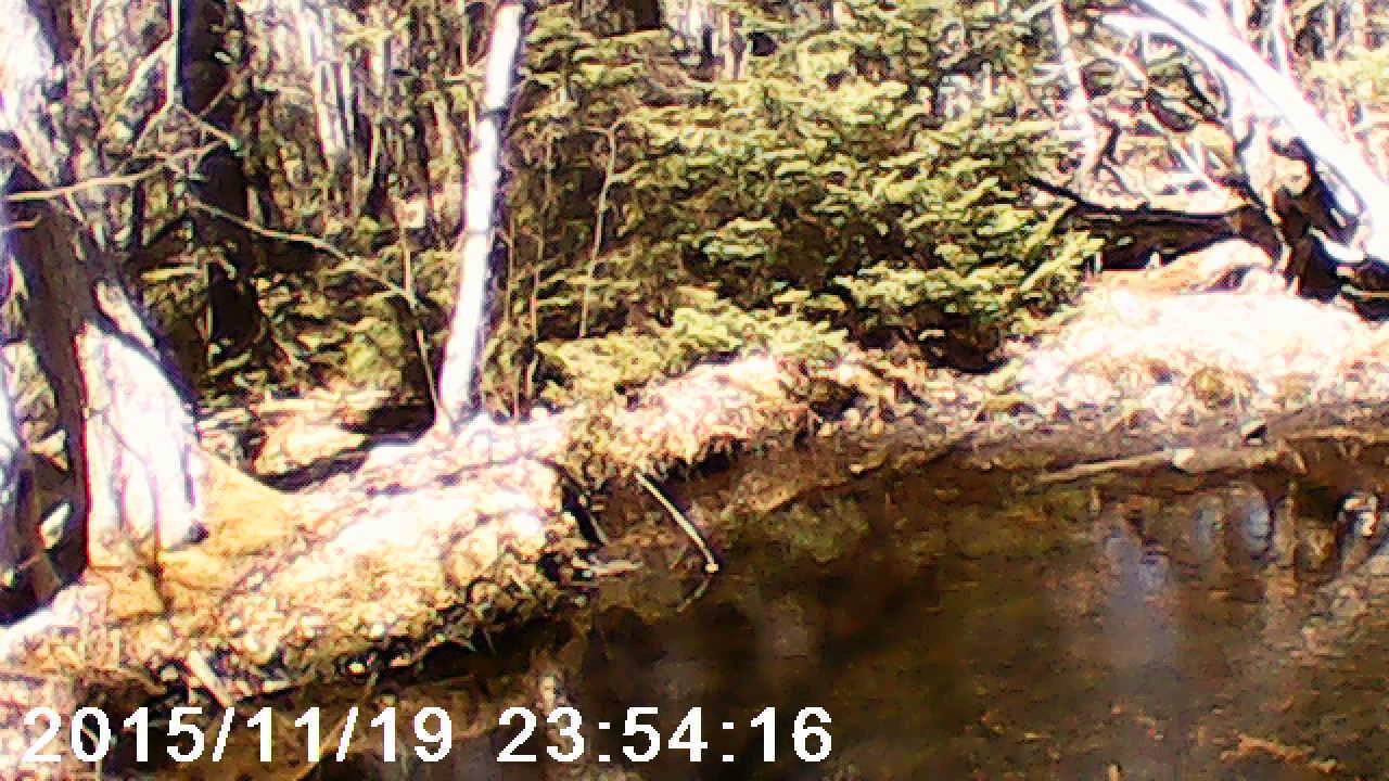 Hiking the Rail Trail Yarmouth n.s.