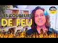 Quiz sur les Coupeurs de Feu