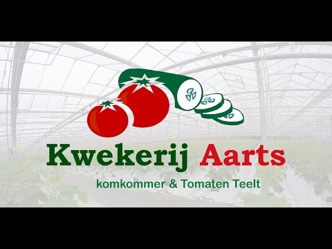 Video: Tomaten In Geraspte Komkommers