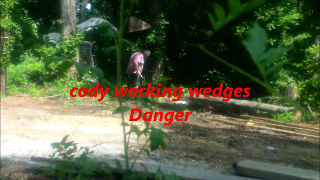 Cutting A Dangerous Tree YouTube