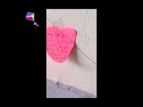 გააოცე სიყვარულით- ნიკა ხარშილაძე