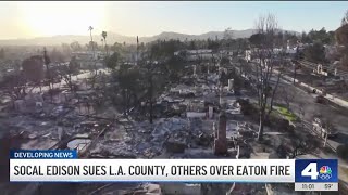 SoCal Edison sues LA County, others over Eaton Fire responsibility