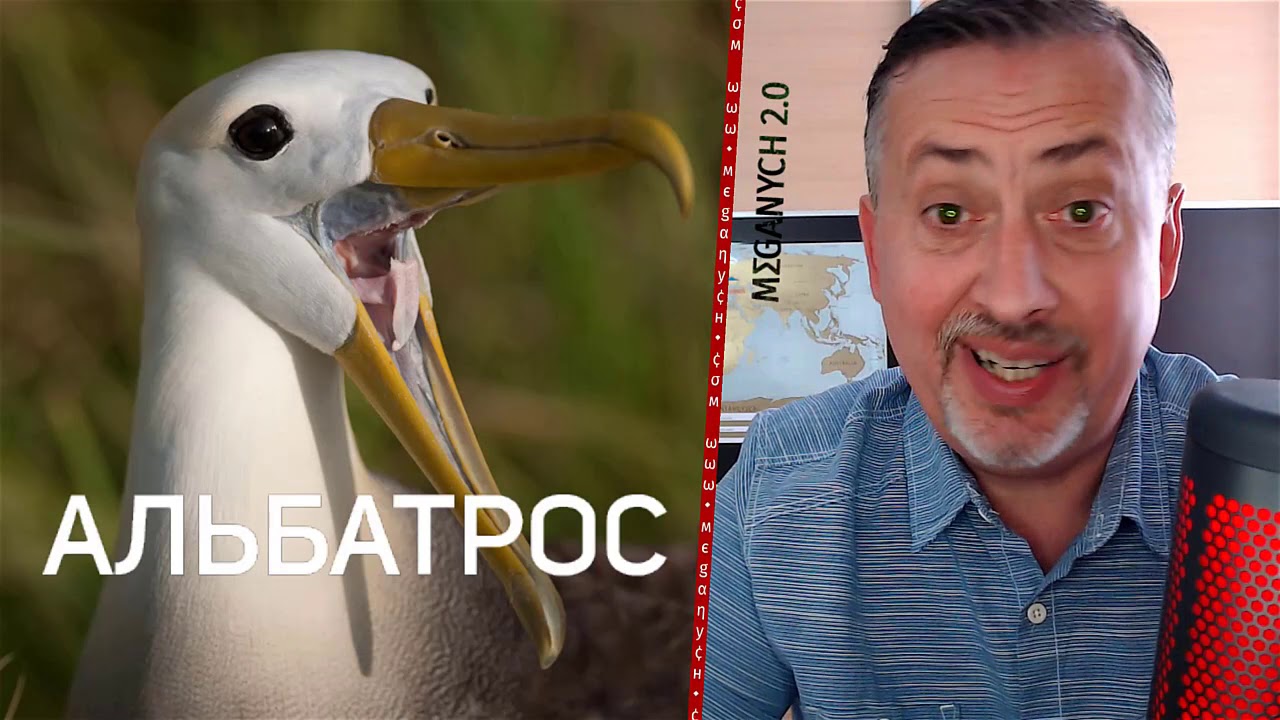 Лекция Меганыча Прошивка альбатрос - YouTube