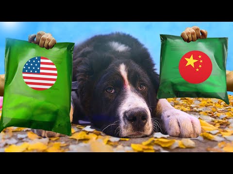 СУХПАЁК АРМИИ США vs КИТАЯ. 24 ЧАСА в ЛЕСУ, ВЫЖИВАНИЕ