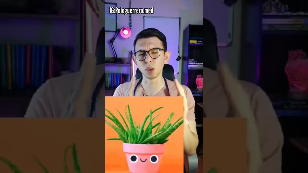 ¿Por qué funciona el aloe vera para las quemaduras? 