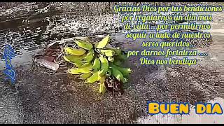 BUEN DIA ....BENDICIONES