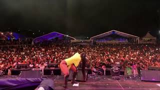 Jada kingdom good kitty song || Jada Kingdom St.Kitts Highlights