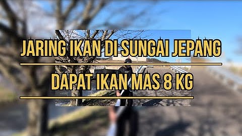 NANGKAP IKAN DI SUNGAI JEPANG, BESAR IKAN NYA BUKAN MAIN !!!