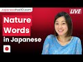 Do You Know These Nature Related Words in Japanese | Learn Japanese Vocabulary