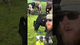 Daily Cleanup 22.11.25