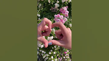 SUNMI X Miya Ne LOVE SUNMI 선미 Balloon In Love Miyane Challenge 