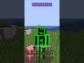 Pig weird glitch