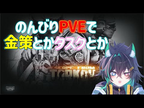 【 EFT 】初心者がゆく！のんびりPVEで金策とかタスクとか