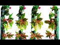 Plastic Bottles Vertical Garden at Home | Plastic Bottles Tower Garden on Wall//GREEN PLANTS