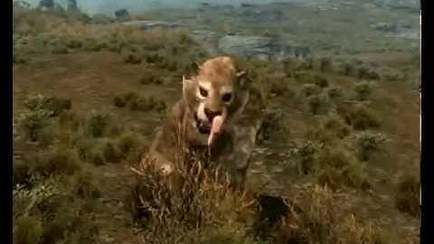 SkyTest Realistic Animals & Predators - Smart Animals 2