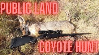 California Public Land Solo Coyote Hunt - I Shot My First Coyote / Savage 110 / Lucky Duck Rebel
