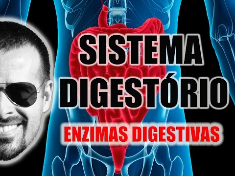 Vídeo: Digestão De Carboidratos: Absorção, Enzimas, Processo E Muito Mais