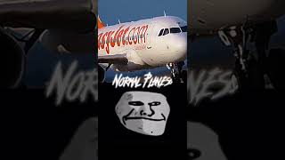 Scp-787 Flash Warning