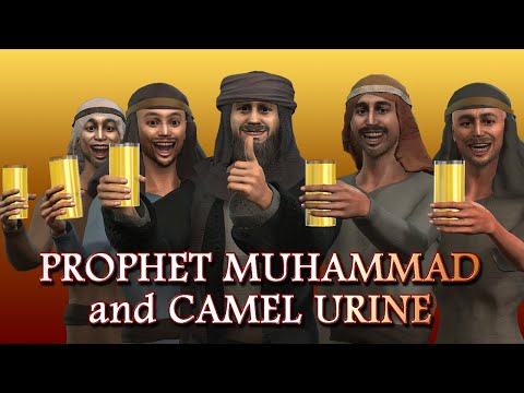 Prophet Muhammad and Camel Urine