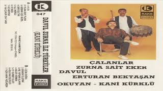 Kani Kürklü - Allı Morlu Resimi