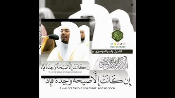 الشيخ: ياسر الدوسري، سورة يس، آية (٥٣).