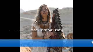 Hayatın Renkleri Fasil Grubu Tsm Muzik 2025 Resimi