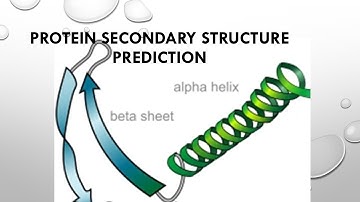 Protein secondary structure prediction