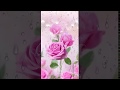 Pink rose  dew live wallpaper