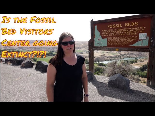 Roadschool Fieldtrip | Hagerman Fossil bed visitor center | Idaho