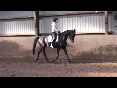 Lindballe`s Zonya - YouTube