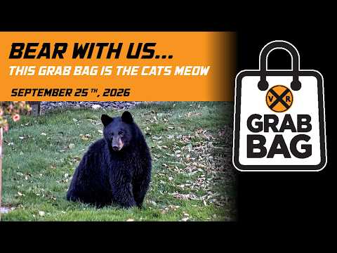 GRAB BAG: BEAR WITH US...