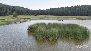 Sevgi Cambazı Şiir Sadık Toraman