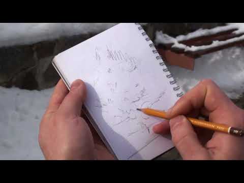 Видео: Как правильно делать зарисовки, наброски, эскизы (с натуры)