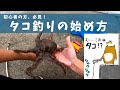 初心者の方、必見！タコ釣りの始め方・魅力を解説します。