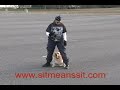 Dog Training: Lisa Myers of SouthJersey SMS w/ Sampson&Rocky