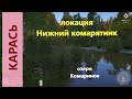 Русская рыбалка 4 - озеро Комариное - Карась в конце озера