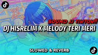 DJ HISRELIM X MELODY TERI MERI SLOWED & REVERB SOUND VIRAL TIKTOK!!!