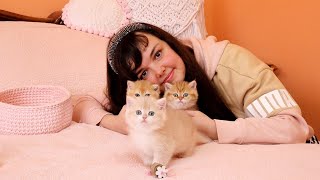 Мой Лечебный Сеанс С Котятами 🥰 Кто Следующий?