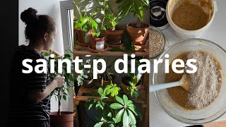 saint-p diaries | снег в апреле, рабочие будни, конец сессии