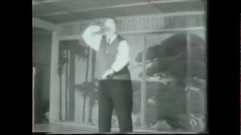 Taijiquan (Tai Chi Chuan) Wang Shu Chin