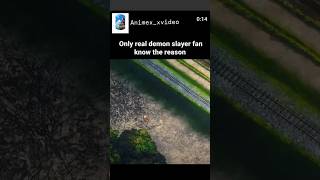 Only real demon slayer fan know tha reason.  #demonslayer #anime