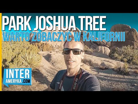 Wideo: Park Narodowy Joshua Tree Ponownie Otwiera Się Z Ogromnymi Obrażeniami