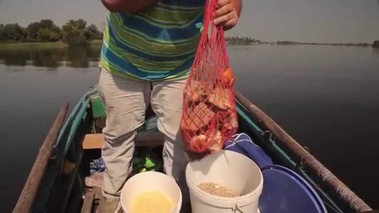 Ловля леща на озере - секреты успешной рыбалки