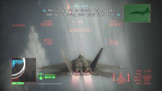When Your Friends Arrive To Rescue You In Ace Combat